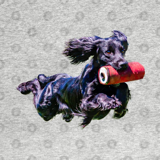 Flying Cocker Spaniel by dalyndigaital2@gmail.com